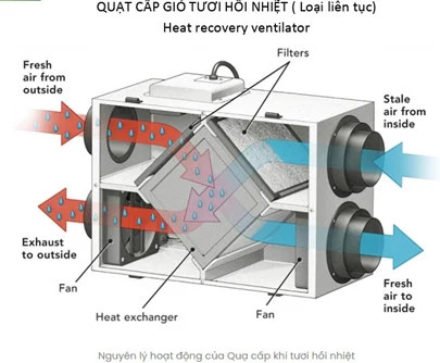 Quạt hút mùi cấp gió tươi